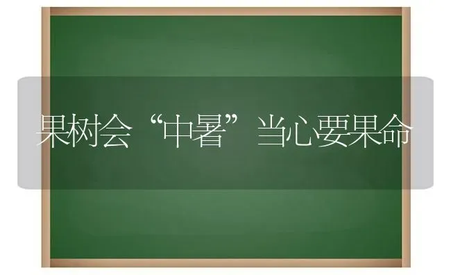 果树会“中暑”当心要果命 | 瓜果种植