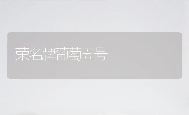 荣名牌葡萄五号 | 瓜果种植