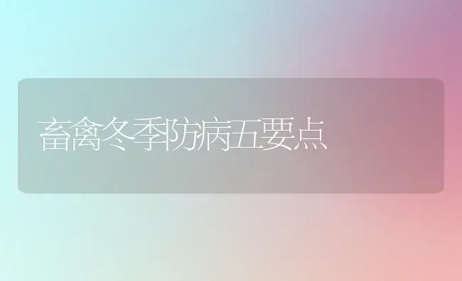 大白菜烂心是什么原因 | 蔬菜种植