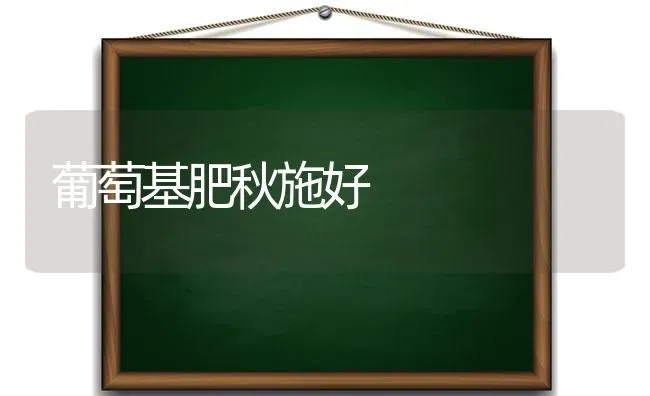 葡萄基肥秋施好 | 瓜果种植