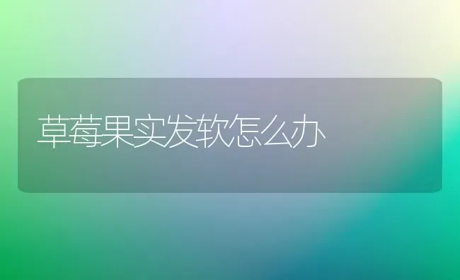 草莓果实发软怎么办 | 瓜果种植