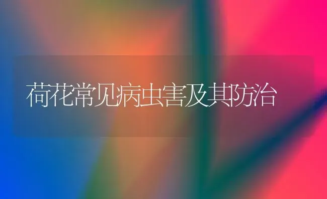 荷花常见病虫害及其防治 | 种植病虫害防治