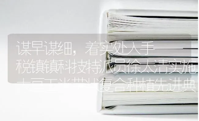 谋早谋细，着实处入手——税镇镇科技特派员徐太清实施大豆玉米带状复合种植先进典型做法 | 粮油作物种植