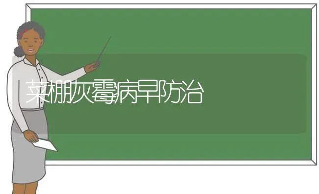 菜棚灰霉病早防治 | 蔬菜种植