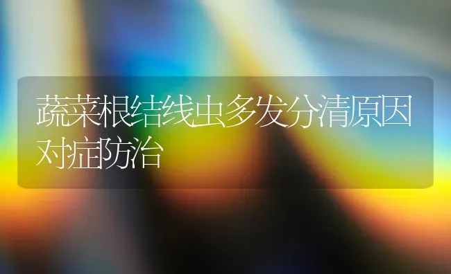 蔬菜根结线虫多发分清原因对症防治 | 蔬菜种植