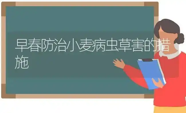 早春防治小麦病虫草害的措施 | 粮油作物种植