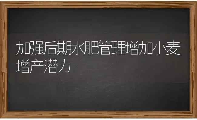 加强后期水肥管理增加小麦增产潜力 | 粮油作物种植