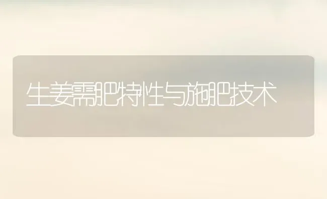 生姜需肥特性与施肥技术 | 种植肥料施肥
