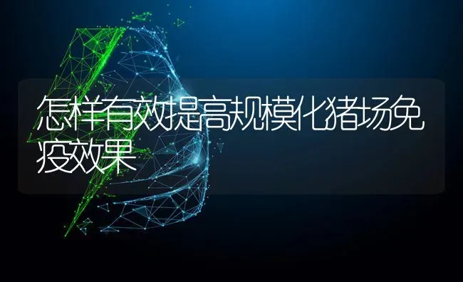 怎样有效提高规模化猪场免疫效果 | 瓜果种植