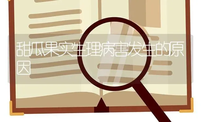 甜瓜果实生理病害发生的原因 | 瓜果种植
