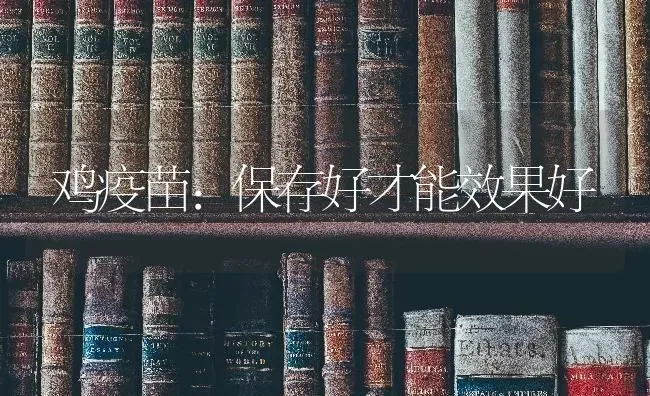 鸡疫苗：保存好才能效果好 | 瓜果种植