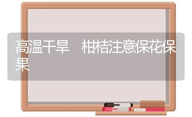 高温干旱 柑桔注意保花保果 | 瓜果种植