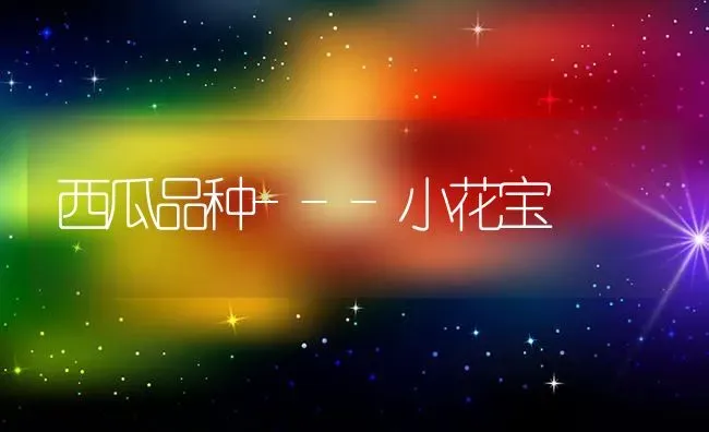 西瓜品种---小花宝 | 瓜果种植