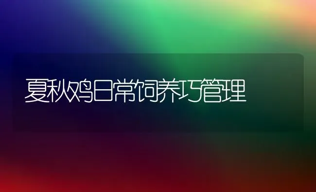 黑色马铃薯种植管理技术升级 | 植物种植百科