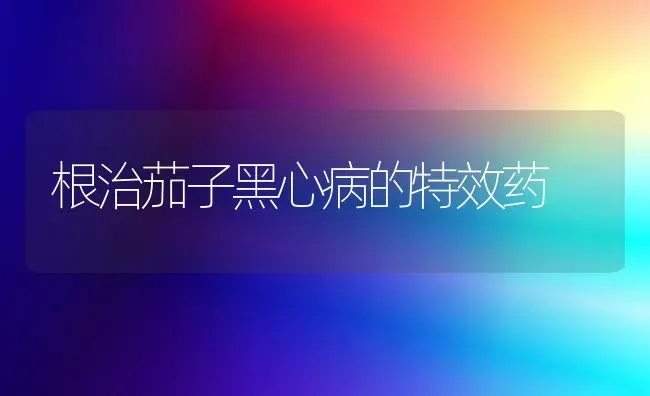 根治茄子黑心病的特效药 | 蔬菜种植