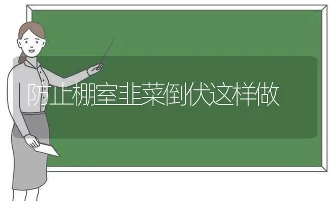 防止棚室韭菜倒伏这样做 | 蔬菜种植