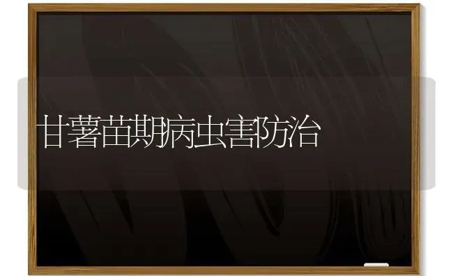 甘薯苗期病虫害防治 | 种植病虫害防治