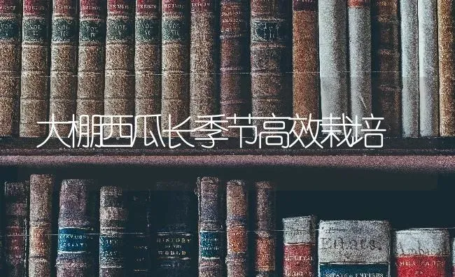大棚西瓜长季节高效栽培 | 瓜果种植