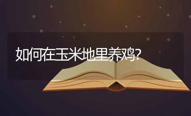 如何在玉米地里养鸡？ | 粮油作物种植