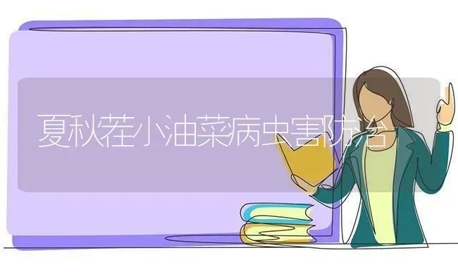 夏秋茬小油菜病虫害防治 | 粮油作物种植