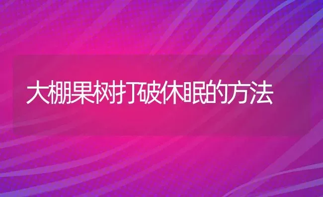 大棚果树打破休眠的方法 | 瓜果种植