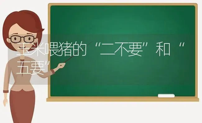玉米喂猪的“二不要”和“五要” | 粮油作物种植