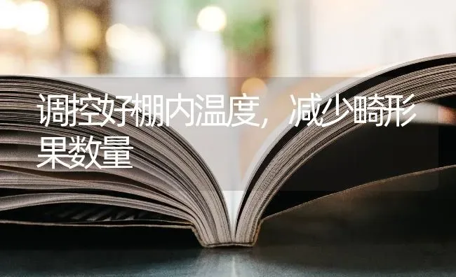 调控好棚内温度，减少畸形果数量 | 瓜果种植