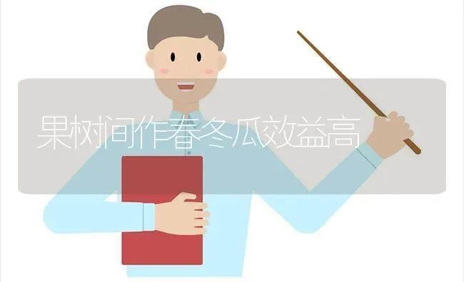 果树间作春冬瓜效益高 | 瓜果种植