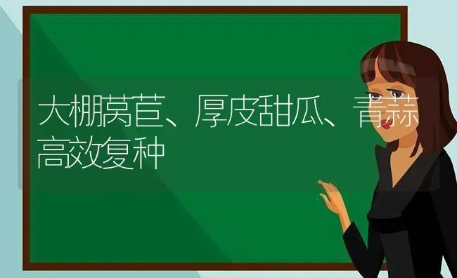 大棚莴苣、厚皮甜瓜、青蒜高效复种 | 瓜果种植