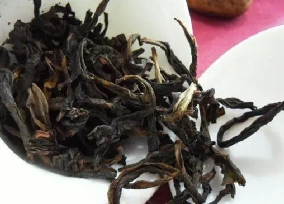 食用常识|老枞水仙属于什么茶 武夷岩茶老枞水仙的功效与作用