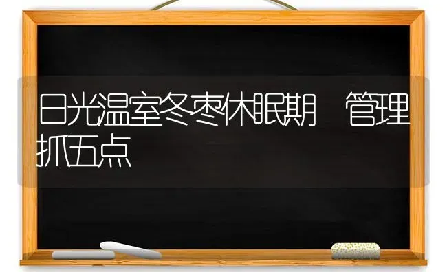 日光温室冬枣休眠期 管理抓五点 | 瓜果种植