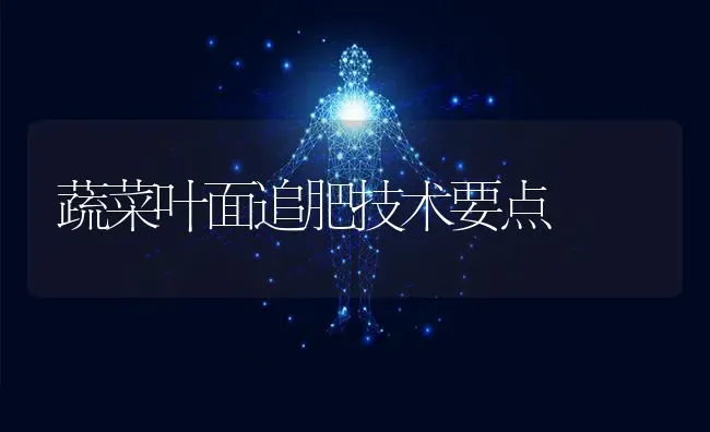 蔬菜叶面追肥技术要点 | 蔬菜种植