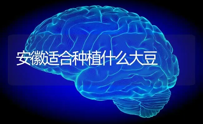 安徽适合种植什么大豆 | 粮油作物种植