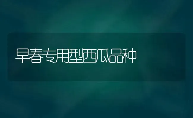 早春专用型西瓜品种 | 瓜果种植