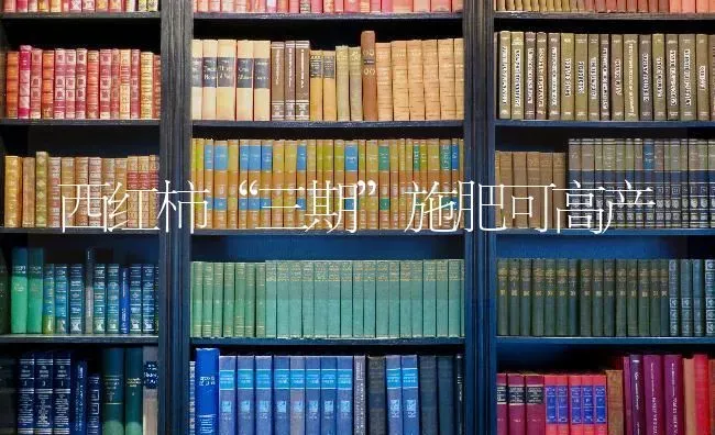 西红柿“三期”施肥可高产 | 种植肥料施肥