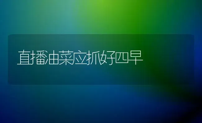 直播油菜应抓好四早 | 粮油作物种植