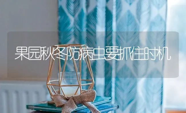 果园秋冬防病虫要抓住时机 | 瓜果种植