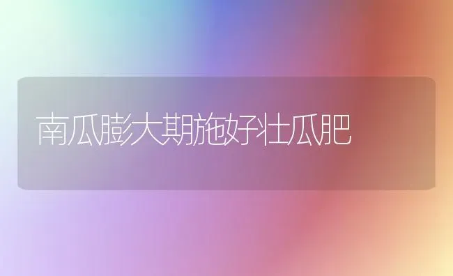 南瓜膨大期施好壮瓜肥 | 蔬菜种植