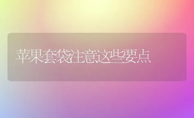 苹果套袋注意这些要点 | 瓜果种植