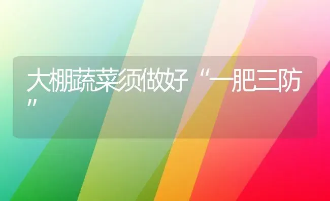 大棚蔬菜须做好“一肥三防” | 蔬菜种植