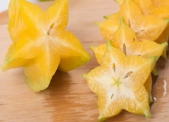 果实科普|杨桃多久开花结果