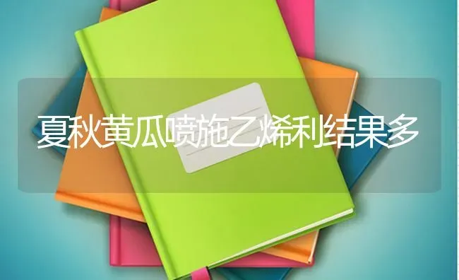夏秋黄瓜喷施乙烯利结果多 | 瓜果种植