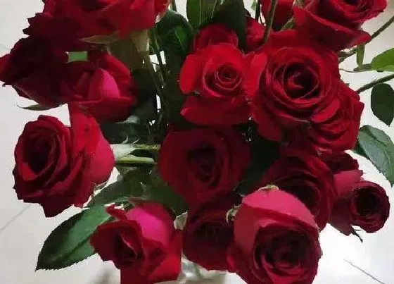送花|结婚送花送什么花合适（朋友婚礼当天应该送什么花）