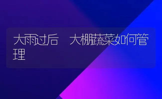 大雨过后 大棚蔬菜如何管理 | 蔬菜种植