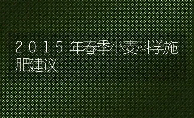 2015年春季小麦科学施肥建议 | 粮油作物种植