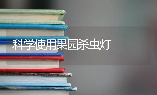 科学使用果园杀虫灯 | 瓜果种植