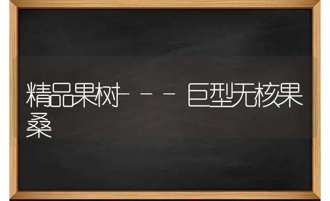 精品果树---巨型无核果桑 | 瓜果种植