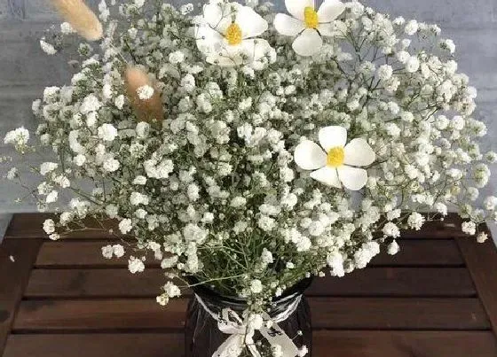 送花|离别送什么花合适