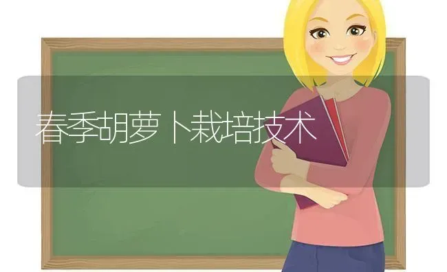 春季胡萝卜栽培技术 | 蔬菜种植