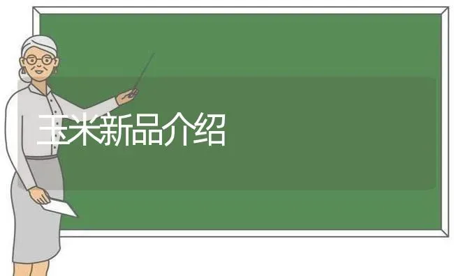 玉米新品介绍 | 粮油作物种植